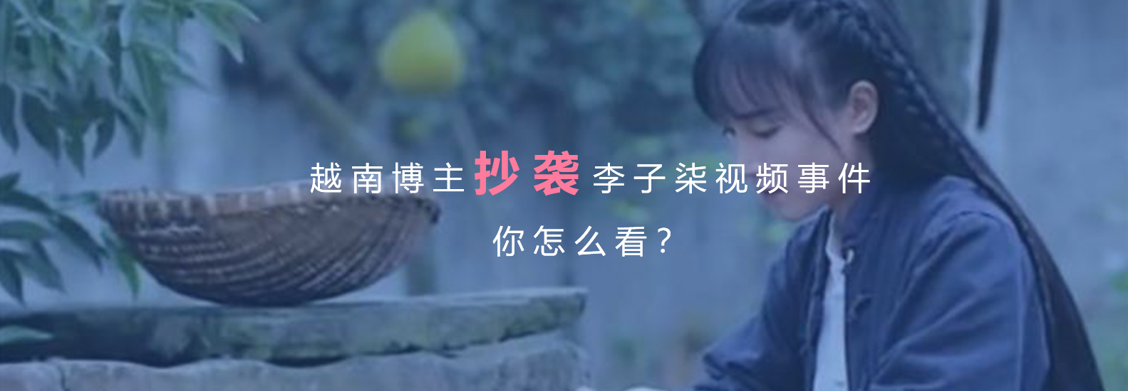 越南博主抄袭李子柒视频事件，你怎么看？