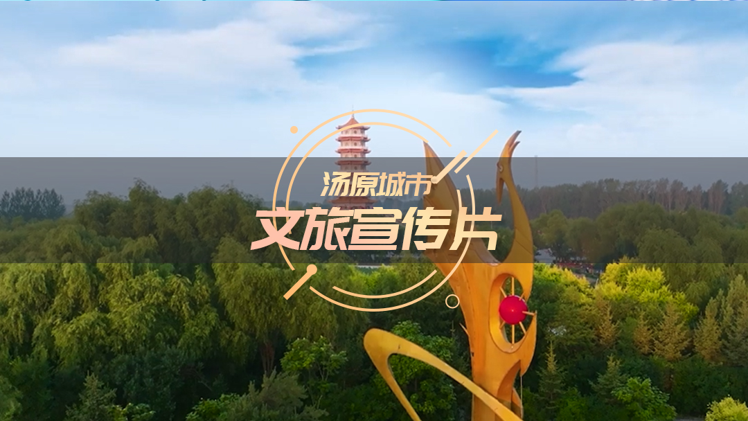 公司动态